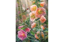 After the Rain – 1000 Piece Puzzle