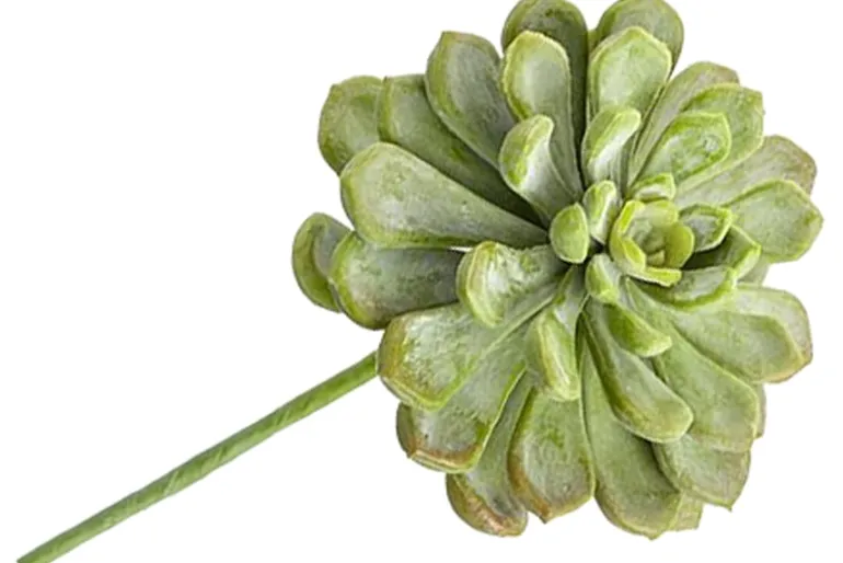 11″ Agave Plant Pick, Green