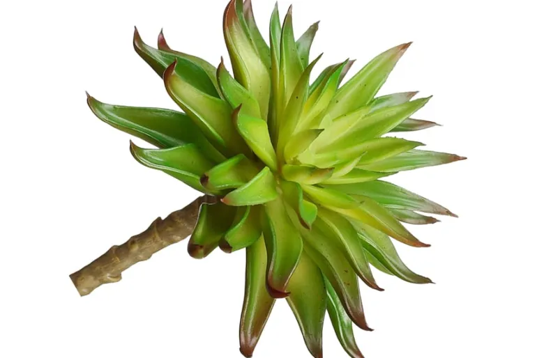 11″ Agave Plant Pick, Green