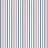 Americana Basics by Riley Blake Pop Boom Bang Firecrackers Navy