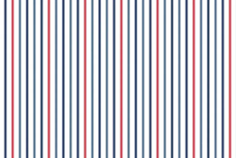 Americana Basics by Riley Blake Uncle Sam Blossom on White