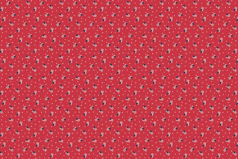 Americana Basics by Riley Blake Red and Blue Stars on White