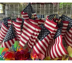 American Flag – 8×12