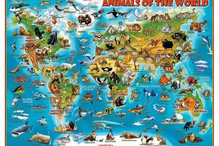 Animals of the World – 300 XL Piece Puzzle