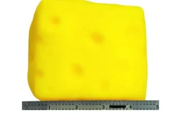 Assorted Fruit Squish Toy