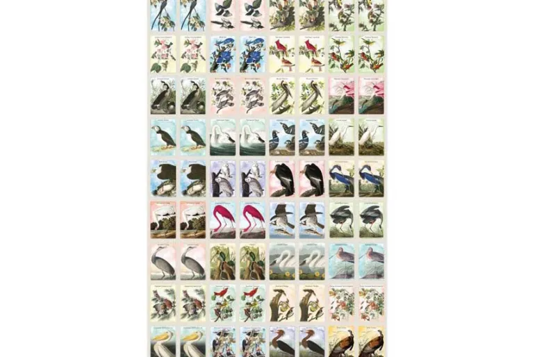 Audubon Memory Game