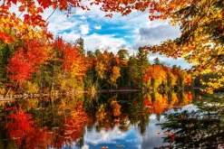 Autumn Lake – 500 Piece Puzzle