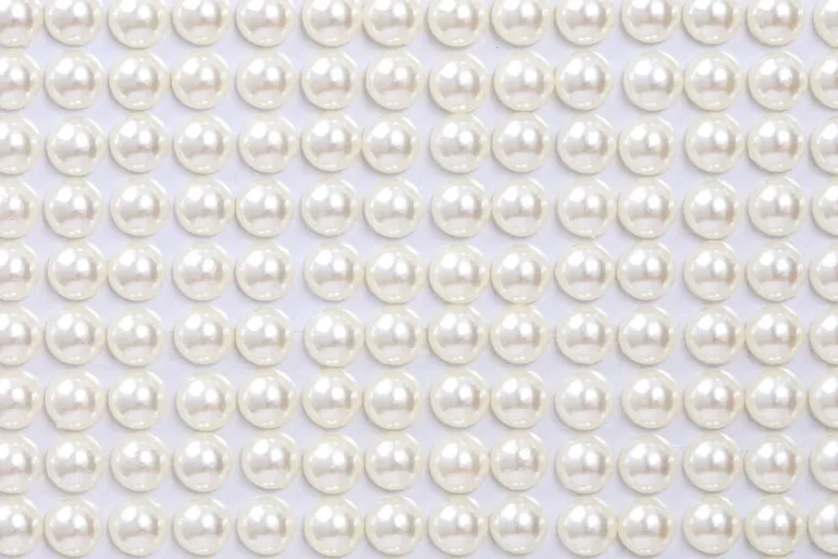 Background of Roses Embossing Folder – 5″X7″