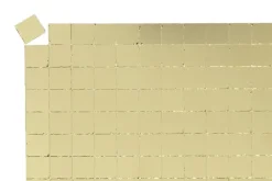 Background of Roses Embossing Folder – 5″X7″