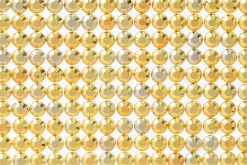 Background of Roses Embossing Folder – 5″X7″