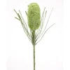 29.5″ Banksia Stem, Cream