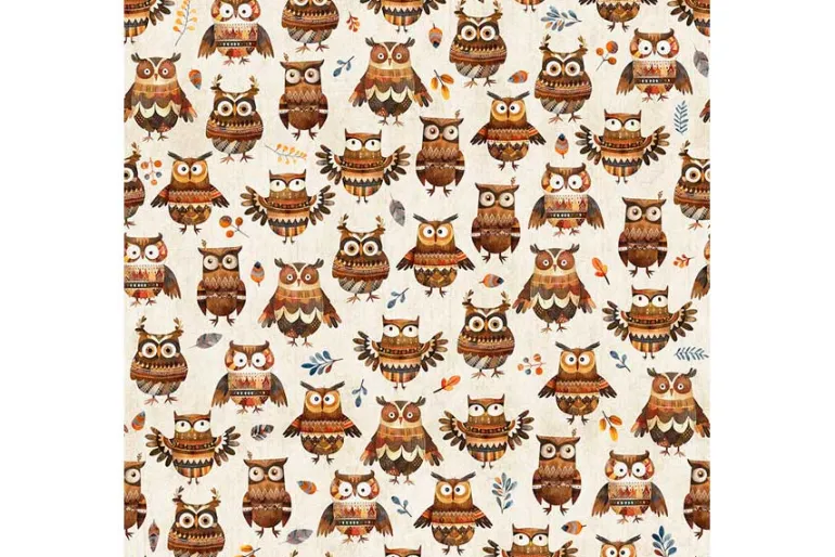 Bearsville Owls on Oatmeal