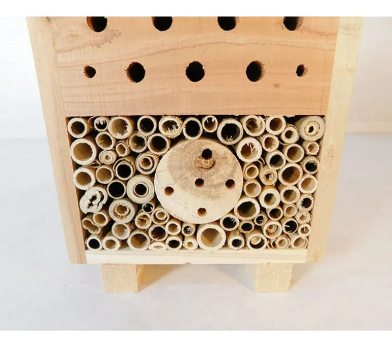 Beehouse