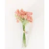8.5″ Berry Bundle, Pink