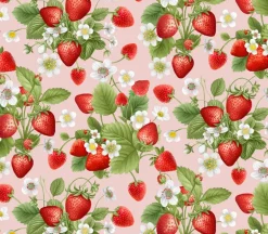 Berry Sweet Packed Sweet Strawberries