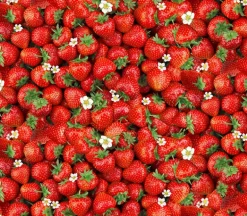Berry Sweet Strawberry and Blooms Repeat Stripe