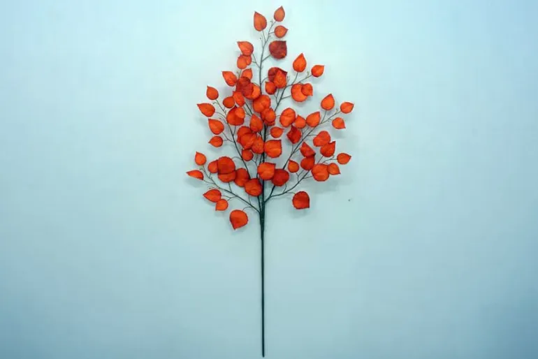 35″ Birch Spray (Orange)