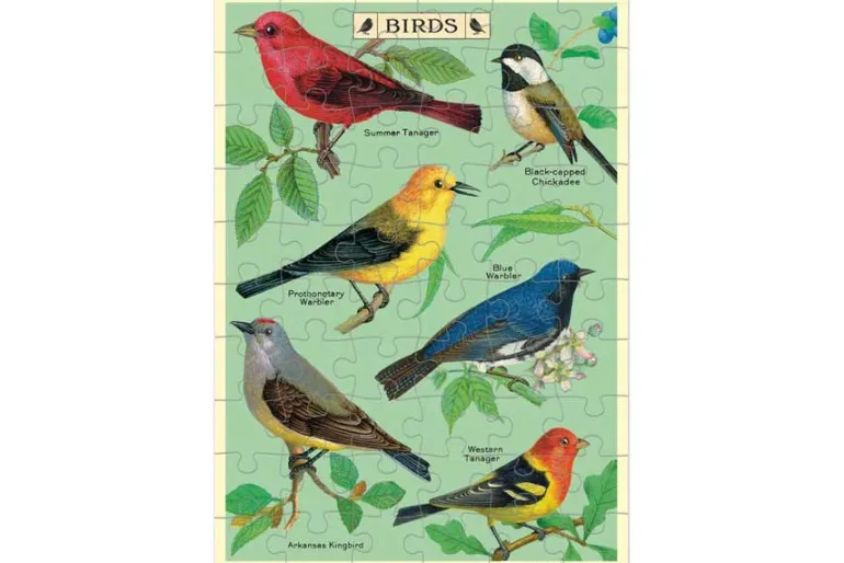 Bird Watching 60-Piece Puzzle Card