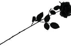 19″ Black Ranunculus Bush