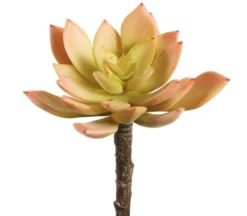 15″ Blooming Agave Pick, Pink