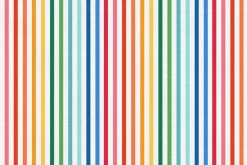Bookworm Stripes Multi Primary