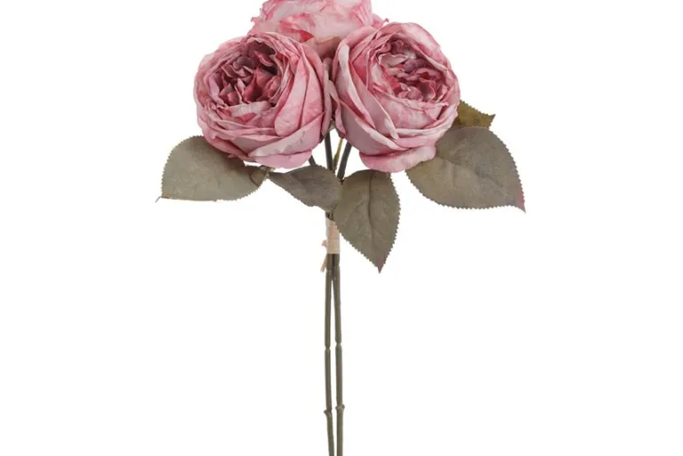 10″ Boston Fern in Glass Terrarium