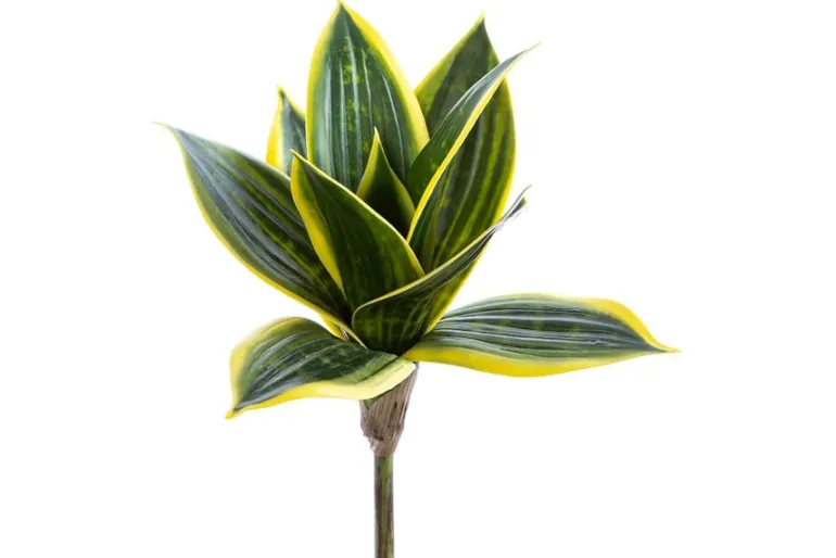 27″ Boxwood Bundle, Green