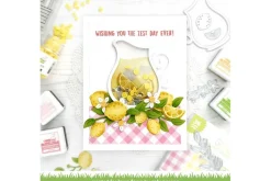 Build A Pitcher Die Set