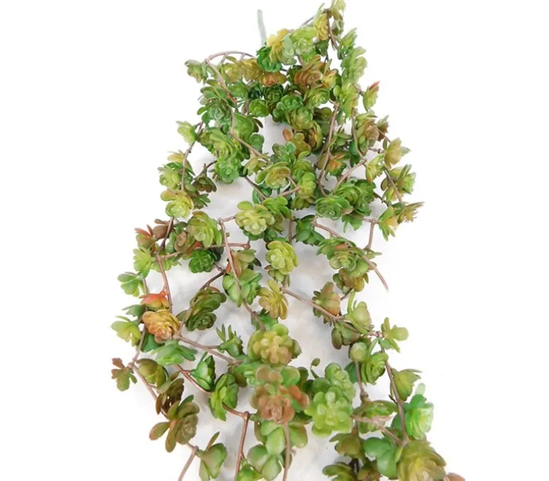 Bush – Succulent – 22-inch