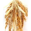 Bush – Weed – 24-inch