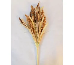 Bush – Weed – 24-inch