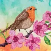 CA Diamond Art Card Kit – Robin