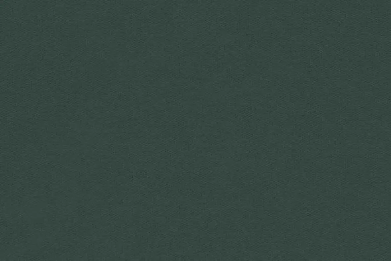 Cambridge Cotton Canvas Solid Jungle Green, 58-inches wide