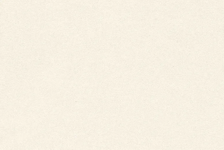 Cambridge Cotton Canvas Solid Off-White, 58-inches wide