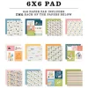 Cat Lover Collection Kit