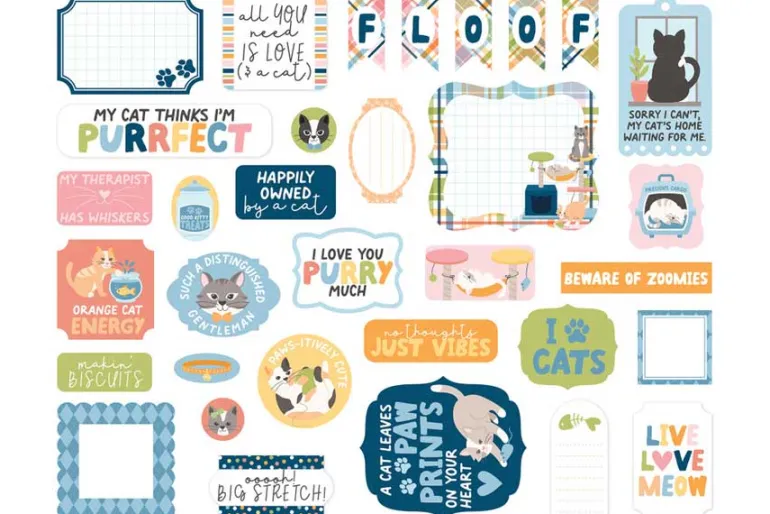 Cat Lover Collection Kit