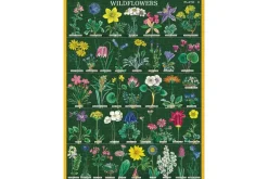 Cavallini Mini Puzzle – Dogs