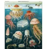 Cavallini Puzzle – Vintage Forage – 1000 Piece