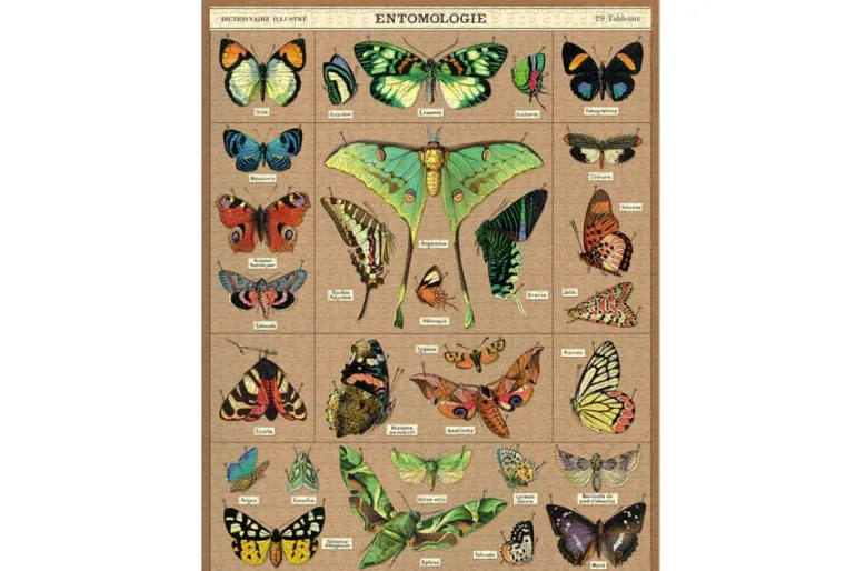 Cavallini Puzzle – Vintage Hummingbird – 1000 Piece