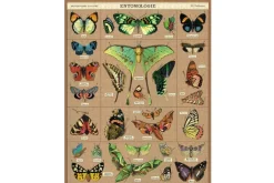 Cavallini Puzzle – Vintage National Parks Map – 1000 Piece