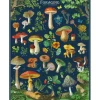 Cavallini Puzzle – Vintage Paris – 1000 Piece