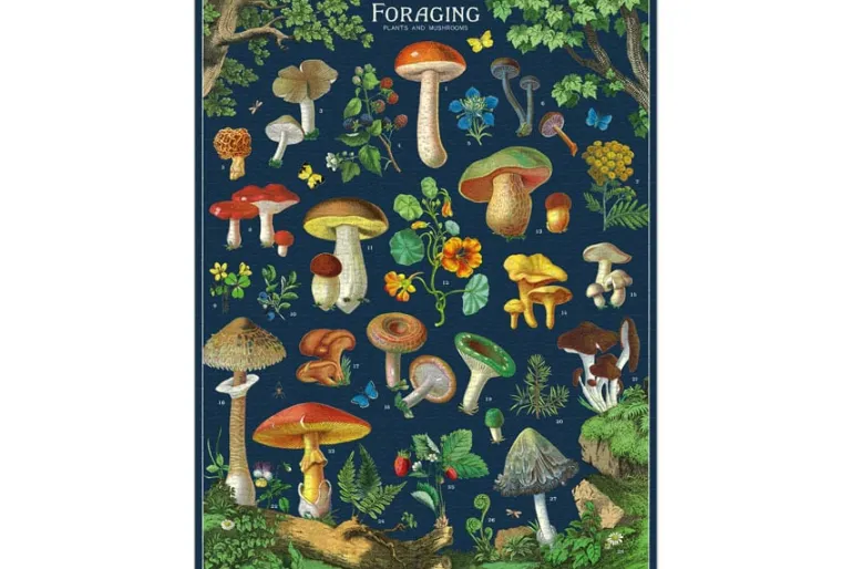 Cavallini Puzzle – Vintage Wildflowers – 1000 Piece