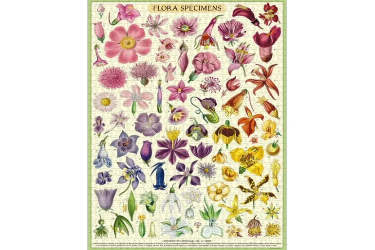 Cavallini Puzzle – Vintage Wildflowers – 1000 Piece