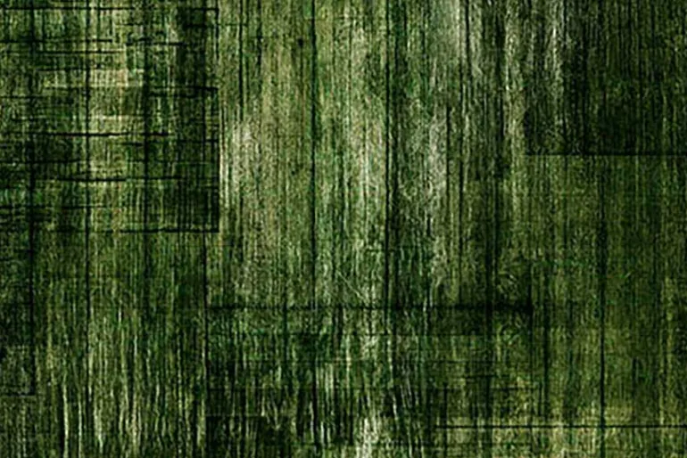 Cedar & Sage Wood Texture Birch