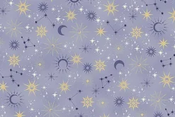 Charmed Twilight Cats and Moons on Blue