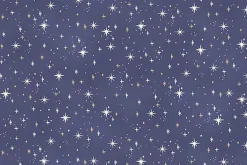 Charmed Twilight Cats and Moons on Blue