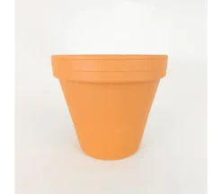 Clay Pot – 6-inch