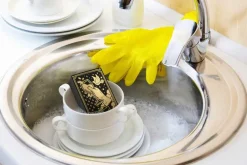 Clean Fate Sponges