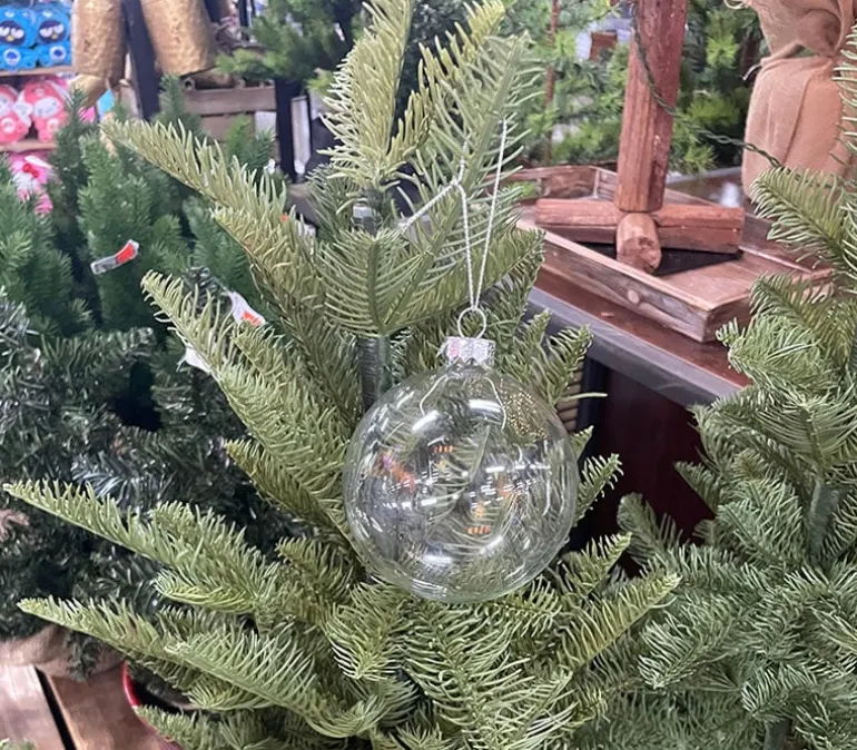 Clear Plastic Flat Disc Ornaments – 4 Piece