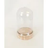 Clear Dome on Wooden Base
